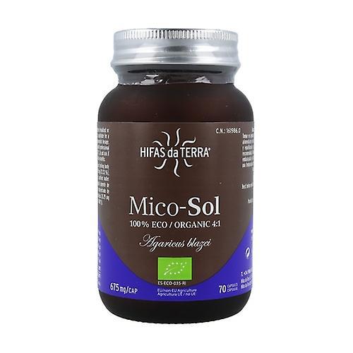 Hifas Da Terra Mico-Sol Royal Sun Mushroom 70 capsules