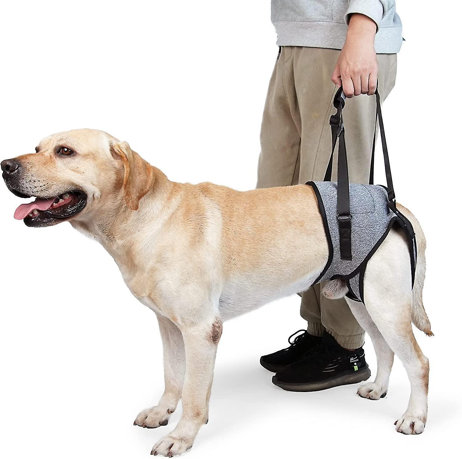 Yijin Dog Sling For Large Dogs Hind Leg Support To Help Rehabilitate The Hind Limbs Of Elderly Dogs With Weak Hind Legs Disabilities XL