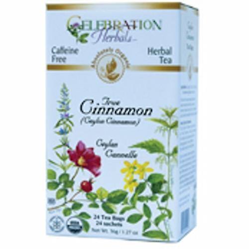 Celebration Herbals Organic True Cinnamon Tea, 24 Bags (Pack of 1)