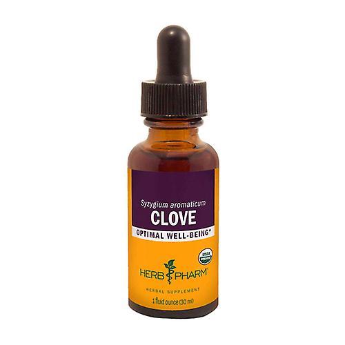 Herb Pharm Clove Extract, 1 Oz (Pack of 1)