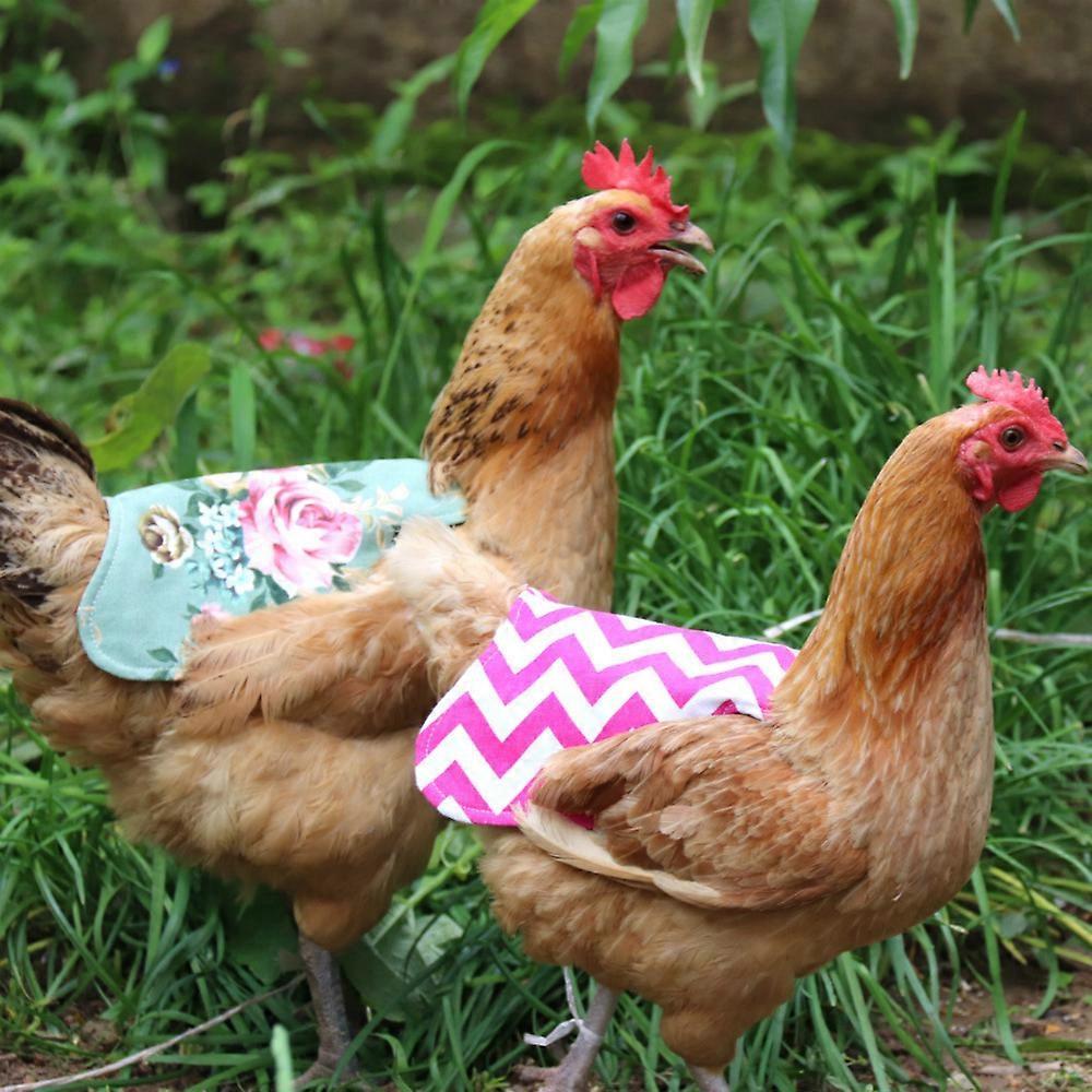 Shmshng Chicken Saddles , Hen Aprons , Protector Apron For Poultry, Poultry Feather Protector C