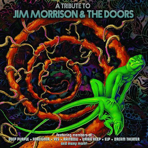 Purple Pyramid Various Artists - A Tribute To Jim Morrison & The Doors (Various Artists)  [COMPACT DISCS] USA import