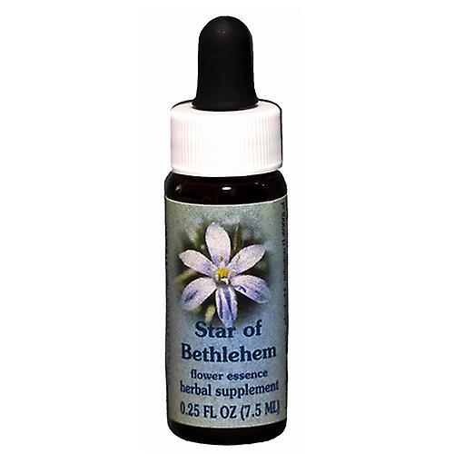 Flower Essence Services Star of Bethlehem Dropper, 0.25 oz (Pack of 1)