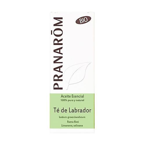 Pranarôm Labrador Tea Essential Oil 5 ml of essential oil