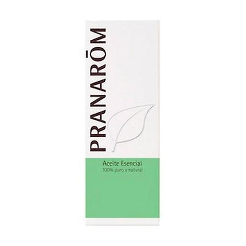 Pranarôm Levistico Essential Oil 5 ml of essential oil