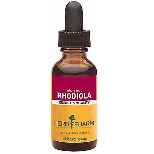 Herb Pharm Rhodiola Extract, 1 oz (Pack of 1)