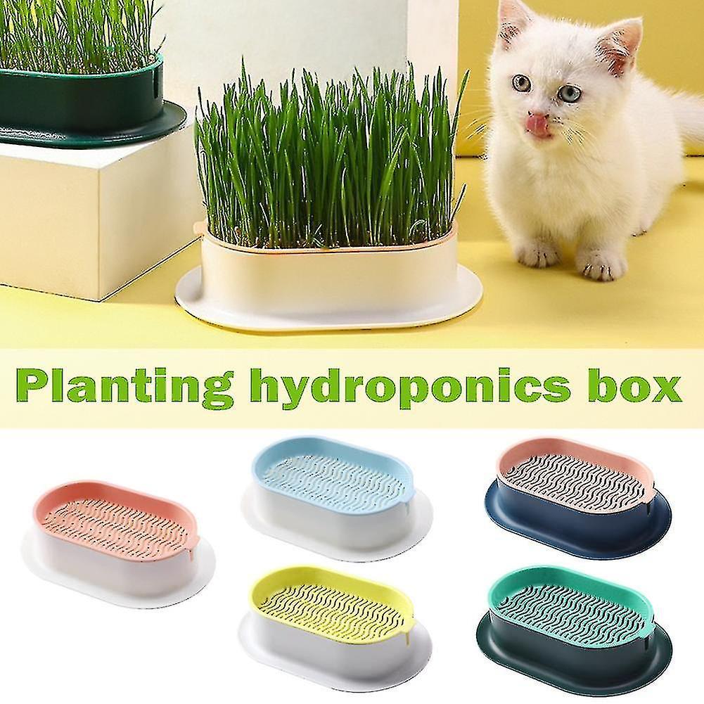 Yuntianzun Hydroponic Cat Grass Planter Tray Plastic Catnip Cat Grass Box Soil Free Cat Grass Growing Box Cats Snack Tray Gray green