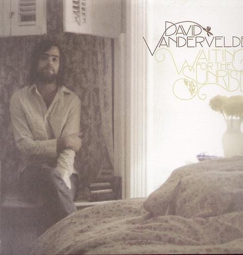 Secretly Canadian David Vandervelde - Waiting for the Sunrise  [VINYL LP] USA import