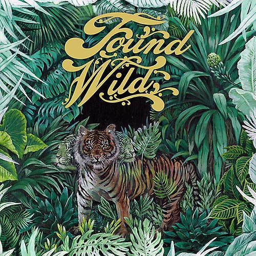 Memory Music Found Wild - Found Wild  [VINYL LP] USA import