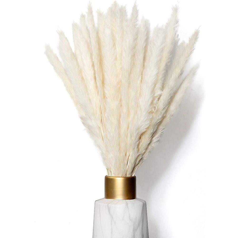 Wuhing-sj-wei Pampas Grass Small As Dried Flowers An Eye-catcher - Forever Durable Pampas Grass Dried For Dried Flowers Decoration - Pampas Grass Deco