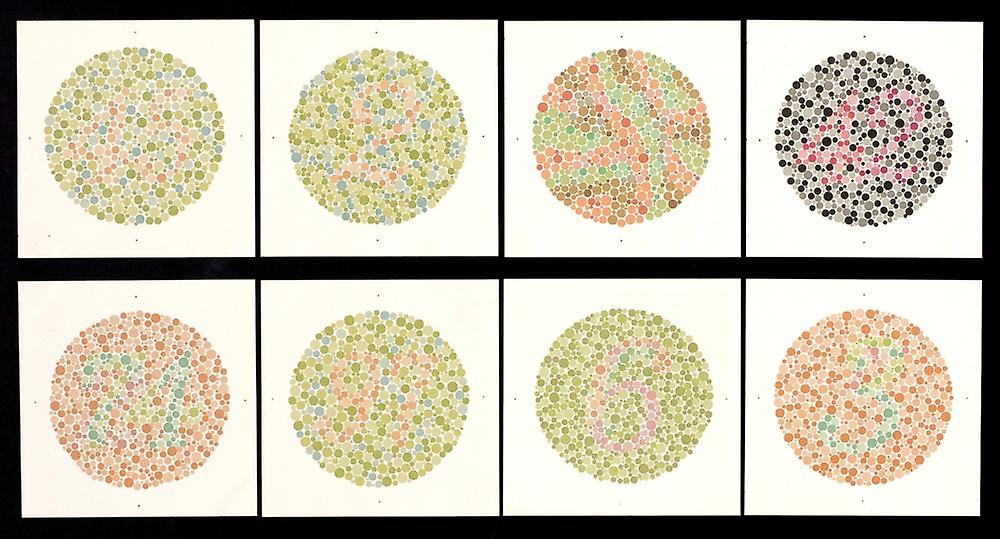 Posterazzi Ishihara Color Blindness Test Poster 24 x 18