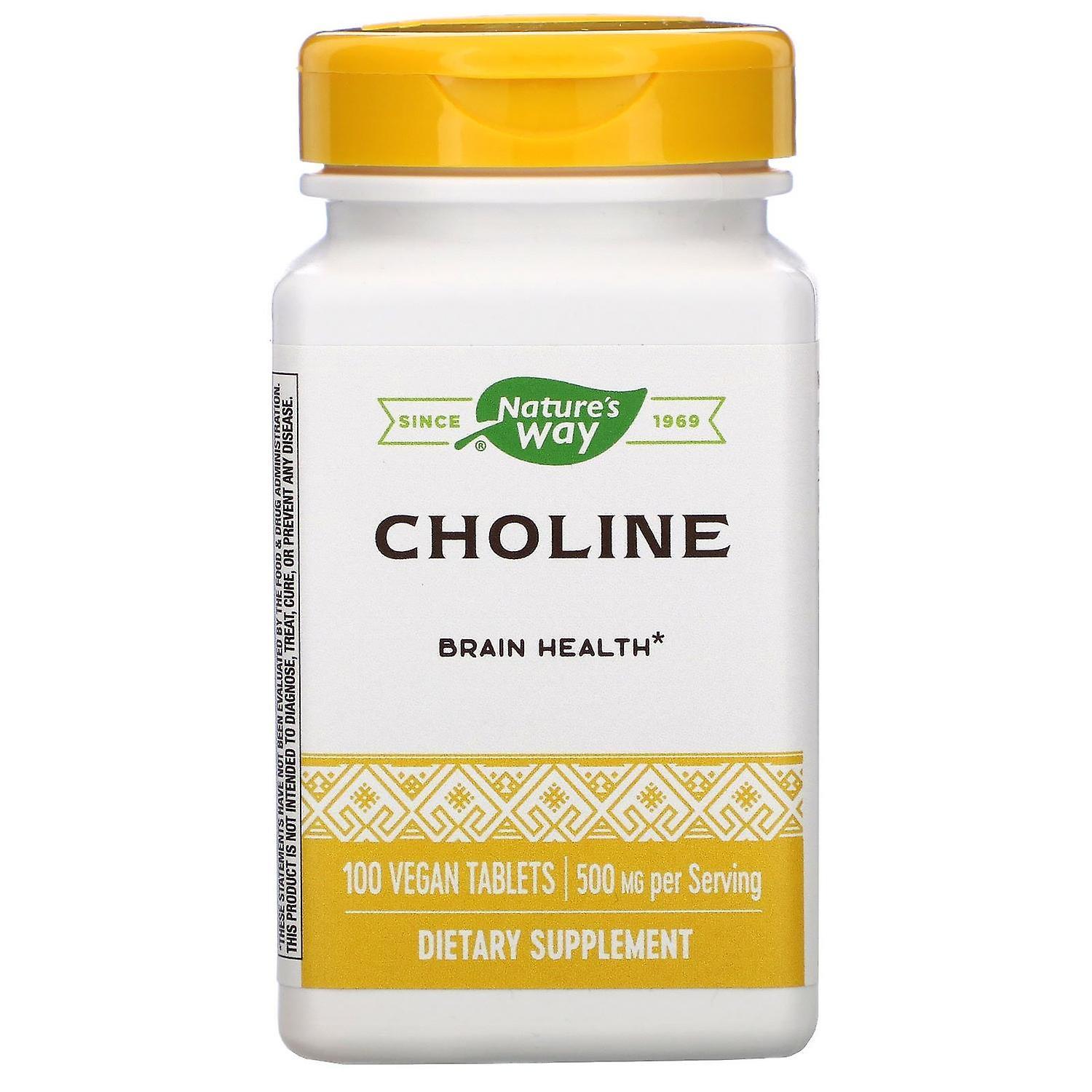 Nature's Way, Choline, 500 mg, 100 Vegan Tablets