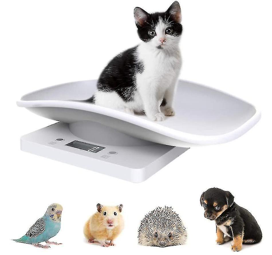 Exsha Digital Pet Scale Electronic Kitchen Food Weight Scale With Lcd Display 10kg/22lb