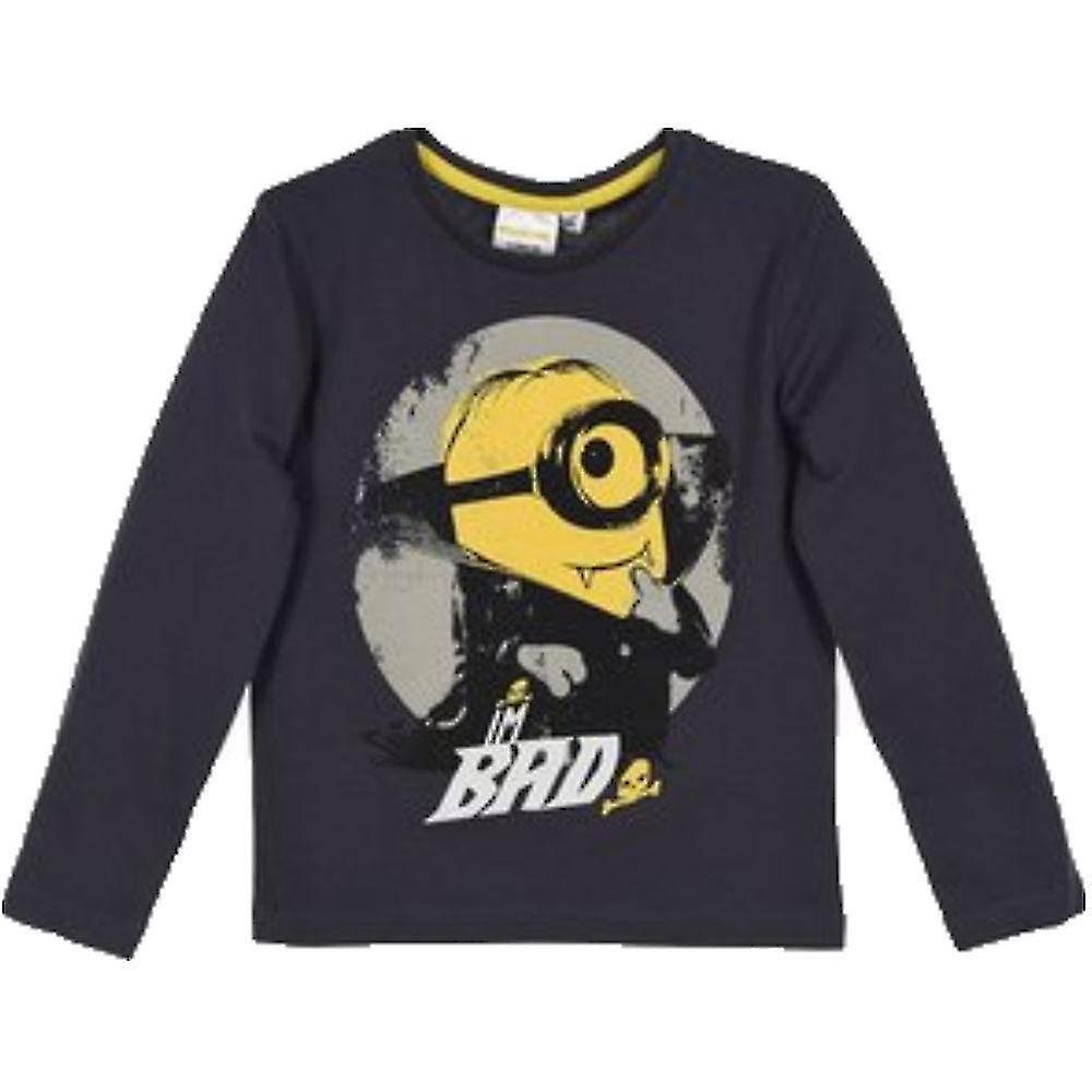 Minions kids t-shirt long sleeve mns1214tsh Grey 3-4 years