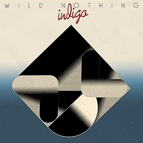 Captured Tracks Rec. Wild Nothing - Indigo  [COMPACT DISCS] USA import