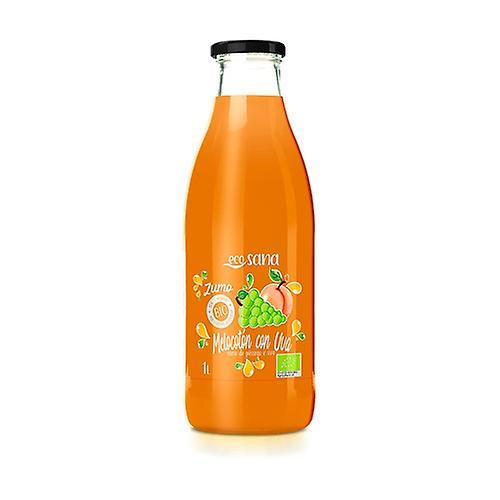 Ecosana Organic Peach Grape Juice 1 L (Peach)