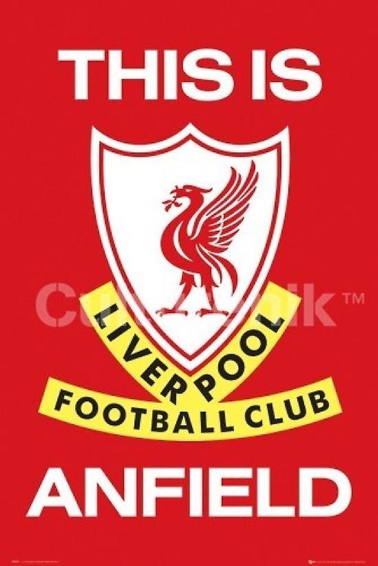 Rolled Poster Liverpool This Is Anfield Poster Print (36 X 24) 34 x 22