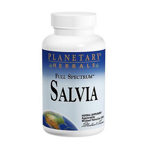 Planetary Herbals Salvia with MSV 60, 120 Tabs + 60 Tabs (Pack of 1)