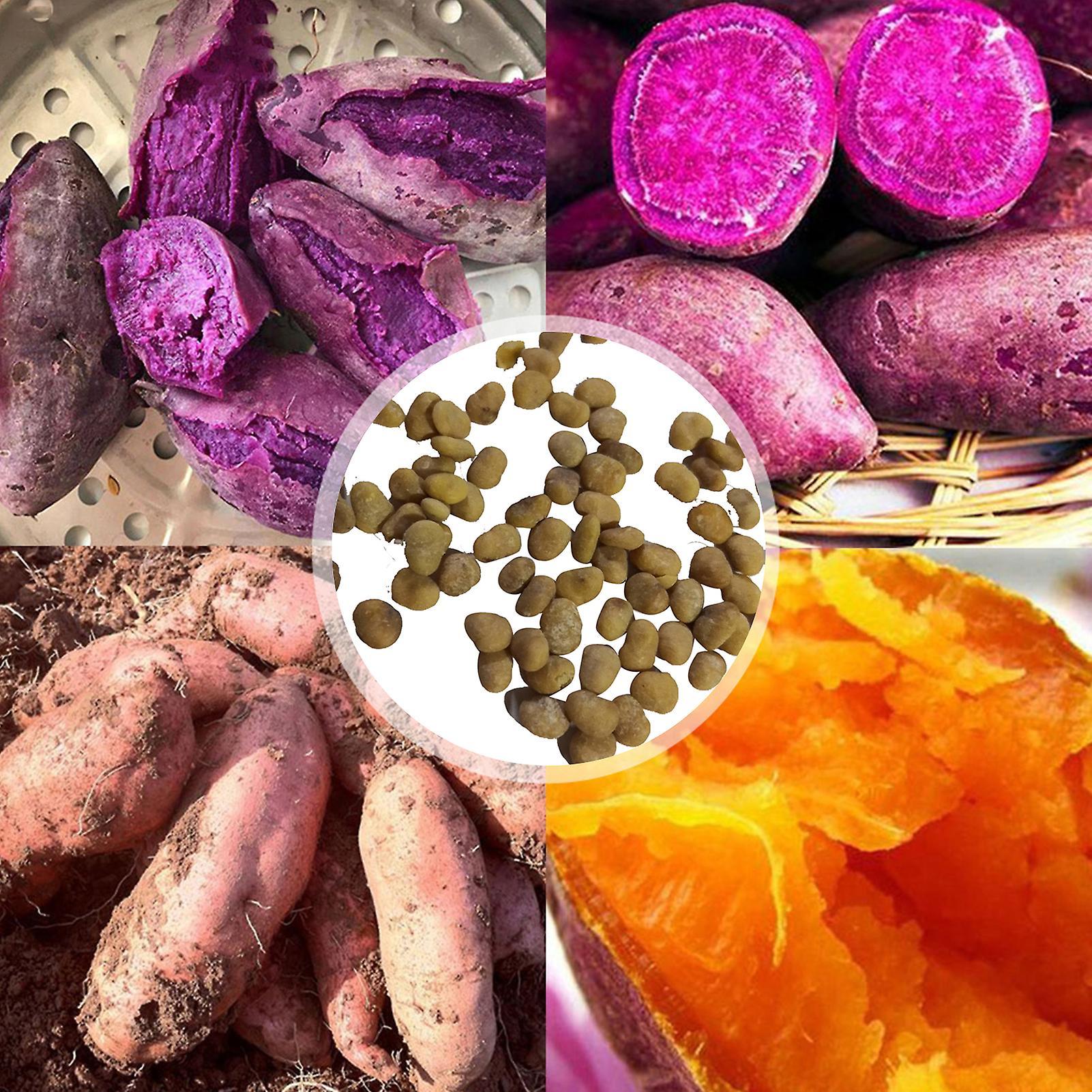 SIJIALI 50Pcs Sweet Potato Seeds Strong Survivability Refreshing Purple Potato Easy Cultivating Vegetable Seeds for Garden Purple Sweet Potato Seeds