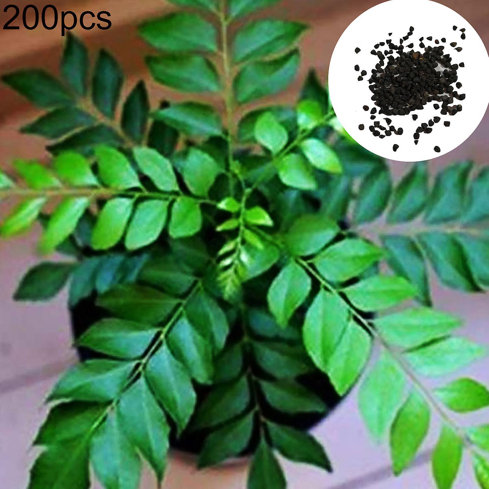 SIJIALI 200Pcs Seeds Easy to Store Nutritious Fresh Excellent Producing Plant Seeds for Garden Curry Seeds