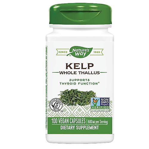 Nature's Way Kelp, 100 Caps (Pack of 1)