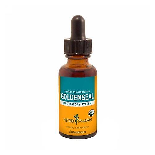 Herb Pharm Goldenseal Extract, 1 oz (Pack of 1)