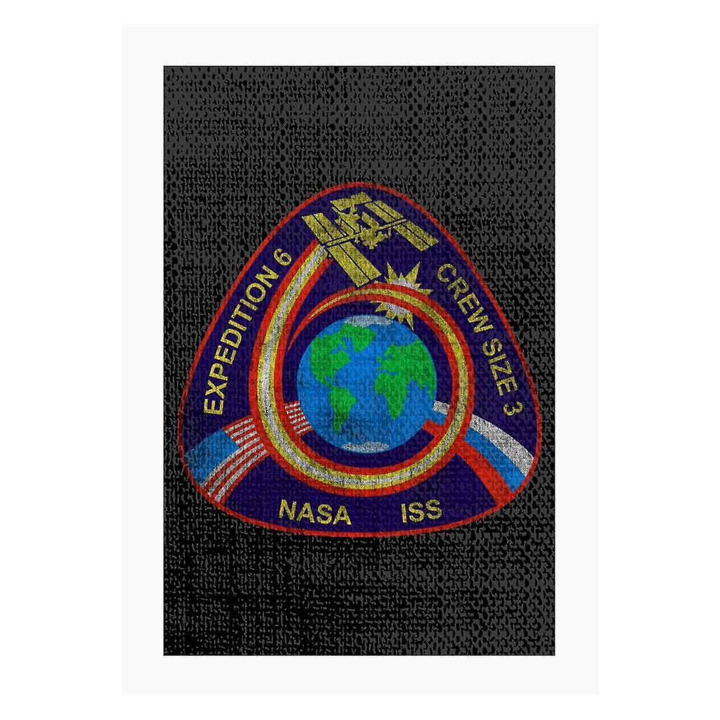 NASA ISS Expedition 6 STS 113 Mission Badge Distressed A4 Print Black 21cm x 29.7cm