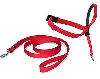 Nayeco Easy Walk ronzal anti-dog pulls (Red) Size S 300 GR