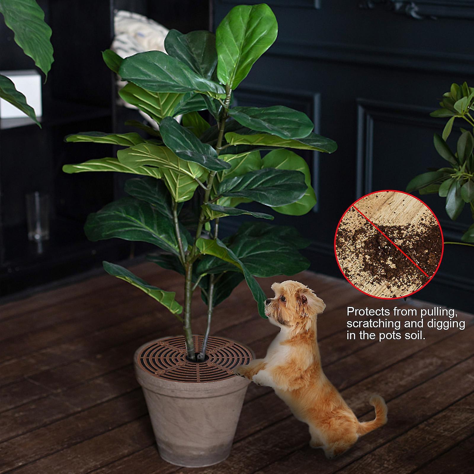 Manchalk Plant Pot Soil Covers Protectors - Repel Cats From Plants - Protects Indoor Plants