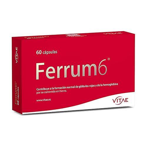 Vitae FerVita 60 capsules (Ferrum6) 60 capsules