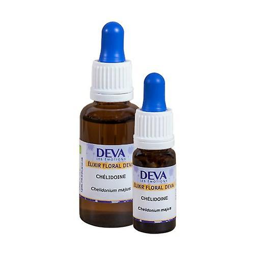 Deva Celandine - Dropper 30 ml of floral elixir