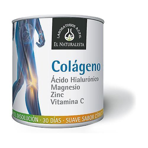 El Naturalista Collagen, Hyaluronic Acid, Magnesium, Zinc and Vitamin C 390 g