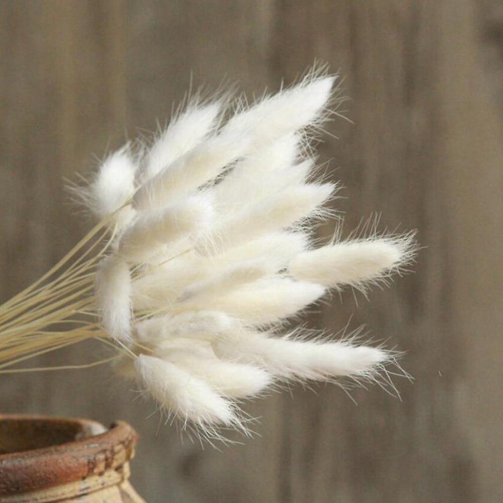 Slowmoose Bulrush Natural Dried Small Pampas Grass, Artificial Plants For Wedding, Home 30pcs white