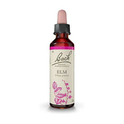 Bach Flower Essences 11 - Elm 20 ml of floral elixir