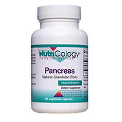 Nutricology/ Allergy Research Group Pancreas Natural Glandular - Pork, 60 Caps (Pack of 1)