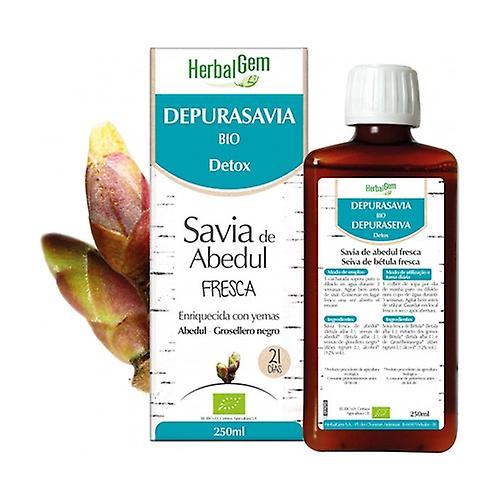 Herbalgem Depurasavia detox Bio 250 ml