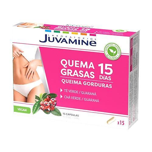 Laboratoires Juvamine Fat burn 15 capsules