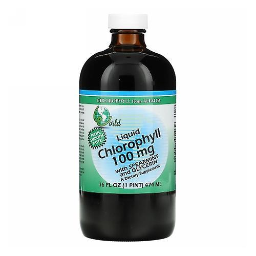 World Organics Chlorophyll with Spearmint & Glycerin Liquid, 100 mg, 16 FL Oz (Pack of 1)