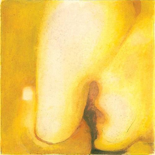 Virgin Records Us Smashing Pumpkins - Pisces Iscariot  [VINYL LP] 180 Gram USA import