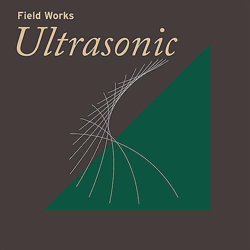 Temporary Residence Various - Field Works: Ultrasonic / Various [VINYL LP] USA Import