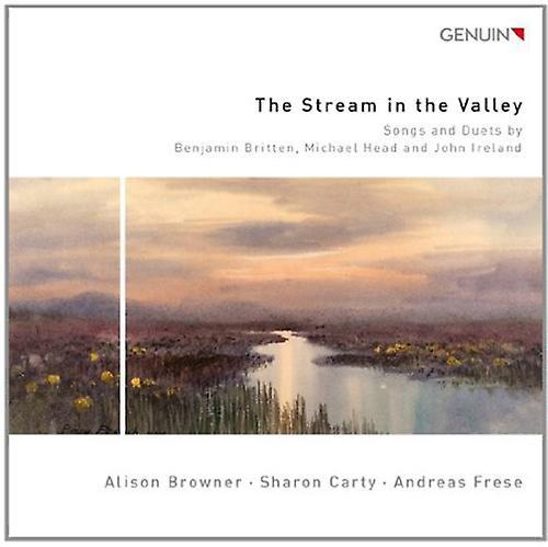 Genuin Andreas Frese - Stream of the Valley  [COMPACT DISCS] USA import