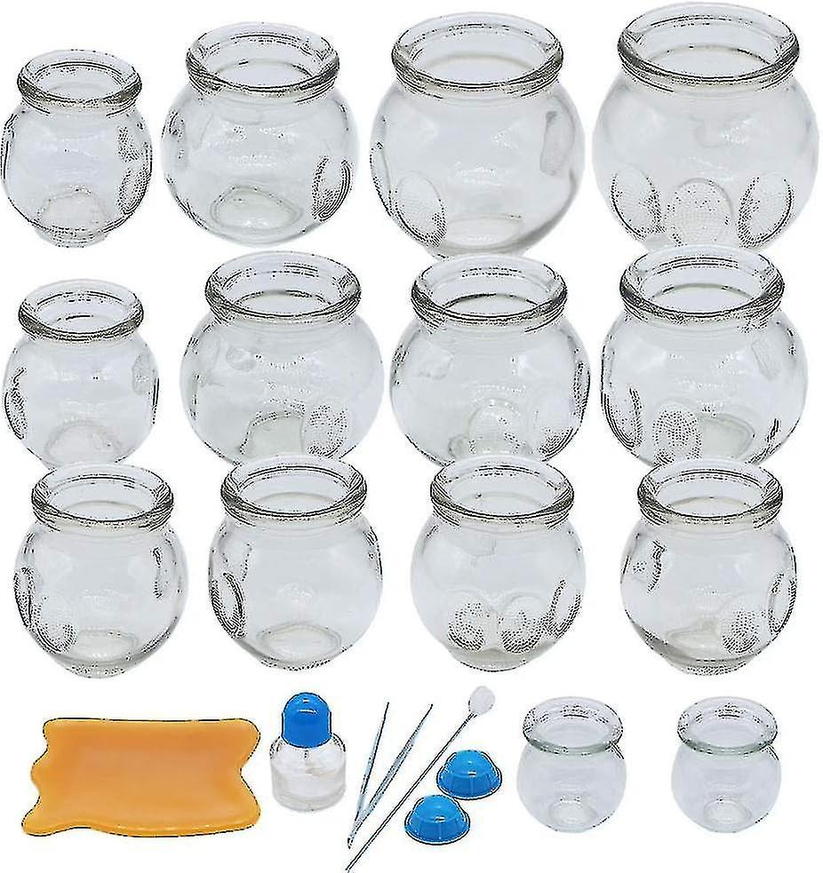 Banmo Cupping Therapy Sets,14 Cups Thick Chinese Acupoint Glass Cupping Therapy Set For Professionals,for Massage Back And Relieve Fatigue