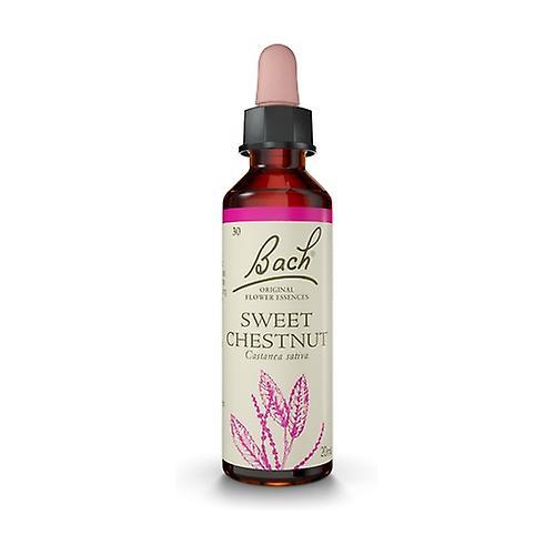 Bach Flower Essences 30 - Sweet Chesnut 20 ml of floral elixir