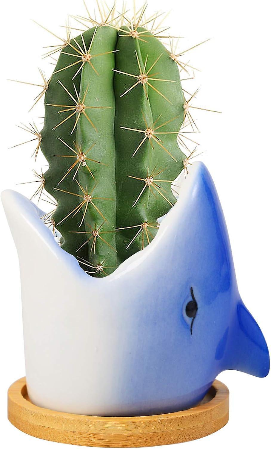 Mintian Ceramic Plant Pot, Animal Succulent Pots Cactus Succulent Plant Pot, Indoor Plant Pot Decoration for Office, Home - Shark