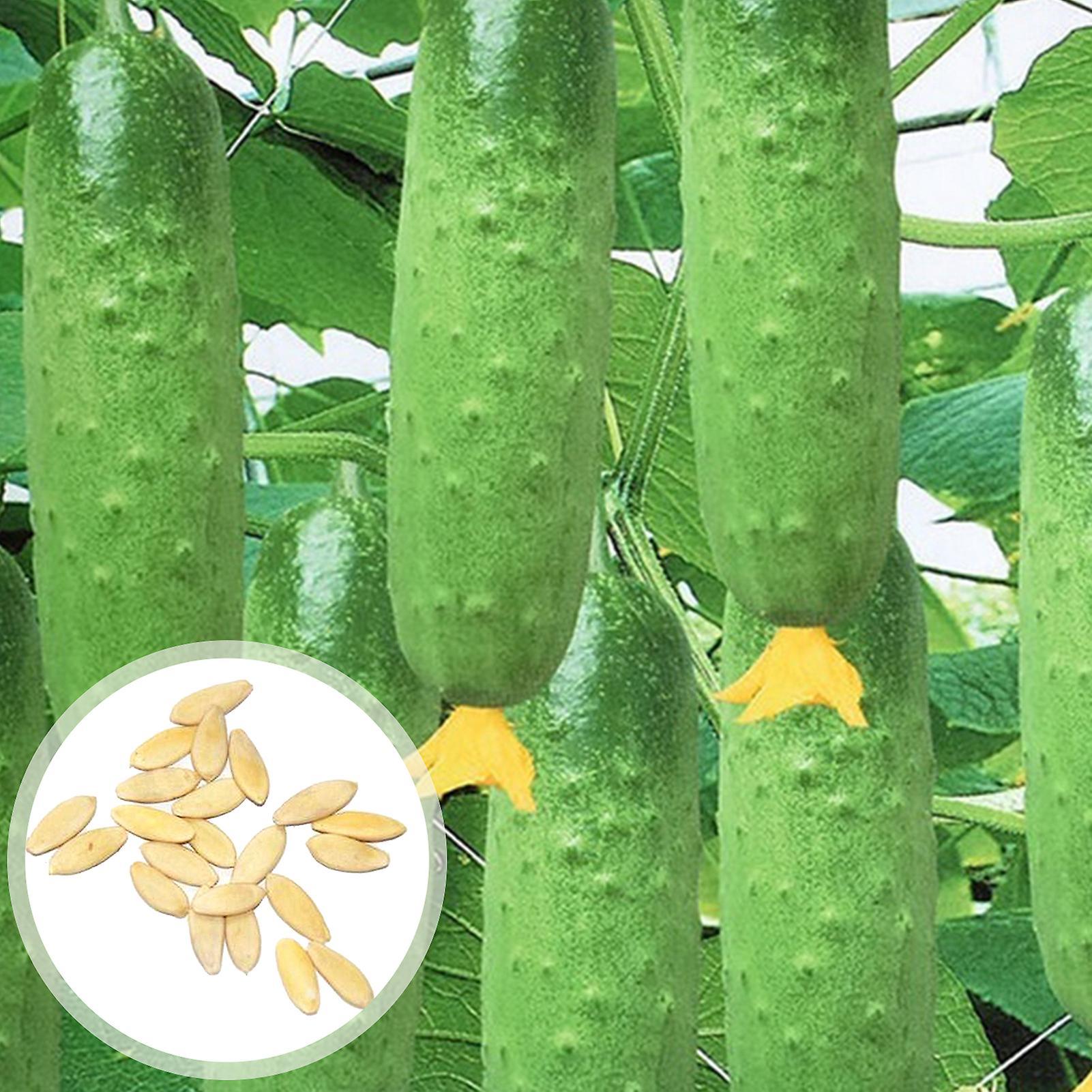 SIJIALI 50Pcs Cucumber Seeds Non-GMO Healthy Green Natural Vegetable Seeds for Garden