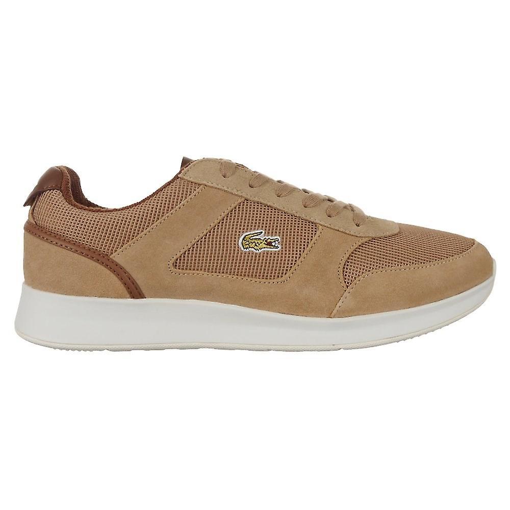 Lacoste Joggeur 734SPM00174D8 universal all year men tan/white 8.5 UK / 9.5 US / 42 1/2 EUR / 27.5 cm