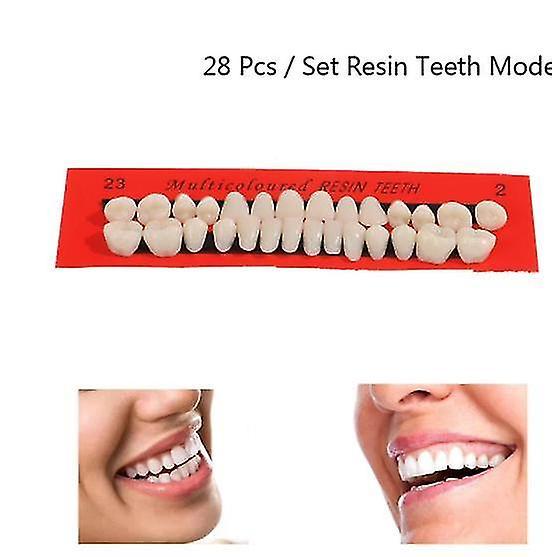 Chris Set of 28 Universal Resi Denture Resin Models