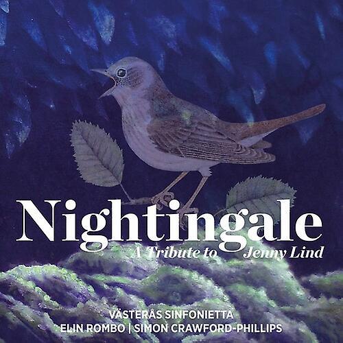 DB Productions Berg / Vasteras Sinfonietta / Rombo - Nightingale  [COMPACT DISCS] USA import