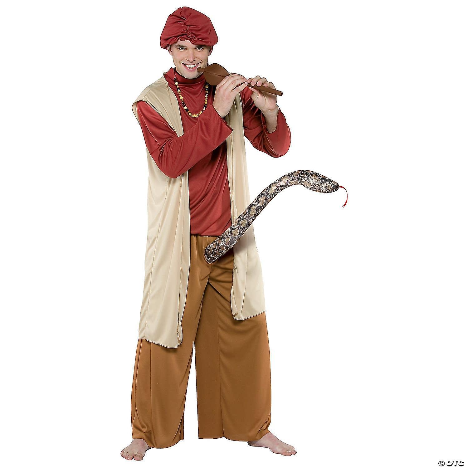 Lacey Wigs Snake Charmer Costume