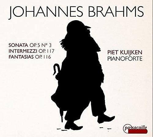 Passacaille Brahms / Kuijken,Piet - Brahms: Sonata, Intermezzi & Fantasias  [COMPACT DISCS] USA import